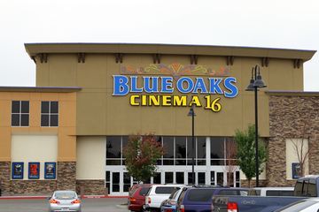 Blue Oaks 16