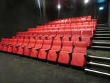 ["Metro Cinema"]