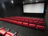 ["Metro Cinema"]