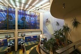 Ridge Theatre