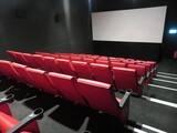 ["Metro Cinema"]