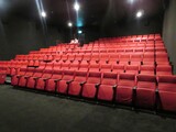 ["Metro Cinema"]