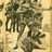 HALF A SIXPENCE ad at Storey's RHODES theatre in Atlanta, Ga