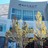 AMC NewCity 14