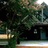 Kookaburra Outdoor Cinema