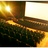 Laemmle NoHo 7