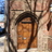 Whitney Humanities Center