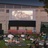 Moonlight Cinema Brisbane
