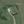 Tiny
