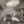 Tiny